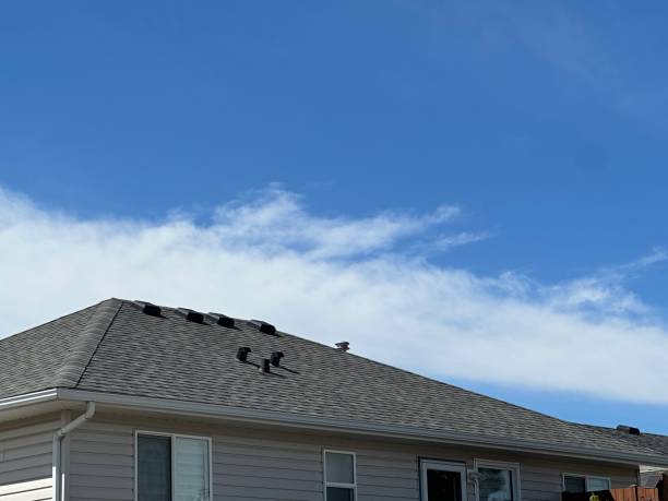 Professional Roof Repair & Installaion in Plain City, OH